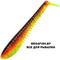 Pontoon21-Awaruna-Evo-3311