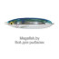 Колеблющаяся блесна Rapala Minnow Spoon (5 см; 5 гр) BSD 2