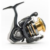 bezynercionnye-katushki-daiwa-exceler-17-lt