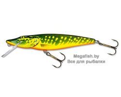 Salmo-Pike-11F-HPE